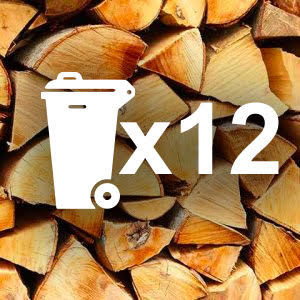 12 Kiln Dried Logs